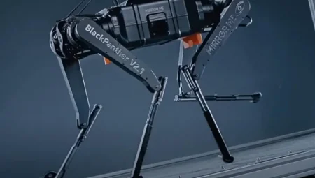 İnsan gibi öğrenebilen robot köpek Luna, robotikte devrim yaratabilir